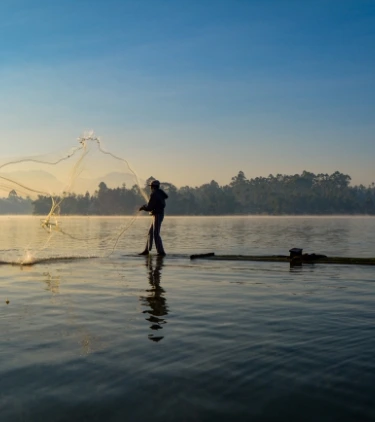 Kasimedu, a fishing hamlet in North Chennai, supplies the city’s seafood needs.